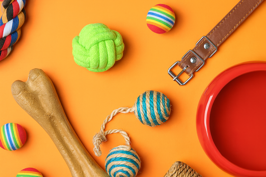 Save on Pet Supplies, Household Essentials, and Online Deals Across Regions