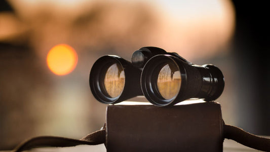 Occer And Hontry Binoculars: Which One Should You Choose?