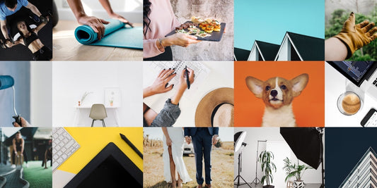 Use Bark US to Find Local Professionals