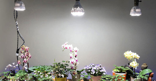 Plan Your Home Lighting With SANSI LEDs